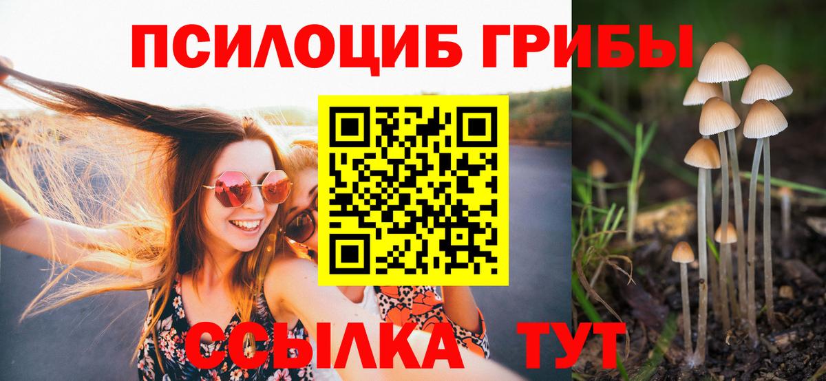 Галлюциногенные грибы MAGIC MUSHROOMS Балашов
